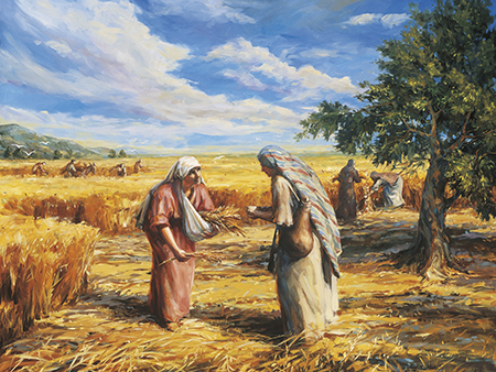 ruth-gleaning-fields_1318066_inl