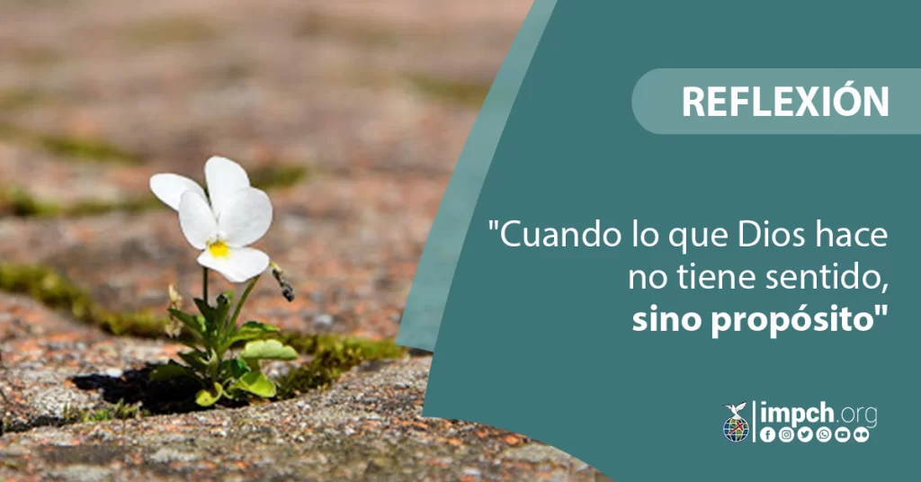 Cuando lo que Dios hace no tiene sentido, sino propósito – Iglesia Metodista Pentecostal de Chile Cuando lo que Dios hace no tiene sentido, sino propósito – Iglesia Metodista Pentecostal de Chile